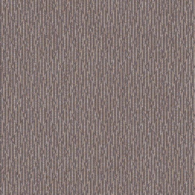 23205-5