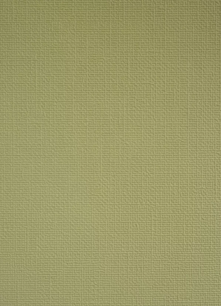 Colorisma | 88447-13