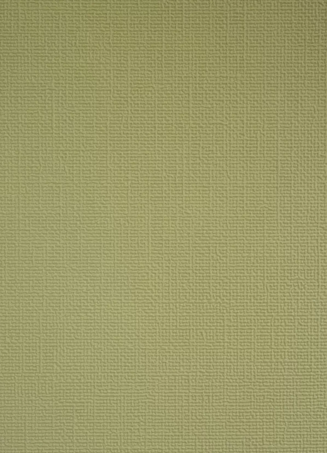 Colorisma | 88447-13