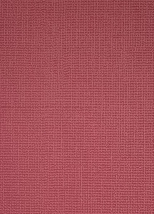 Colorisma | 88447-15