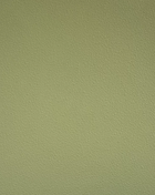 Colorisma | 88520-13