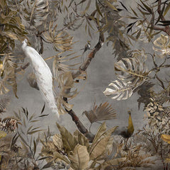 Collection image for: amazon