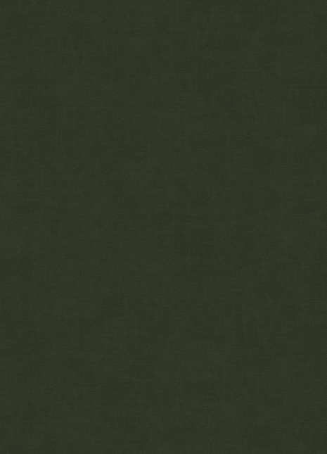 DK.28333-11 | AMBIANCE Linen