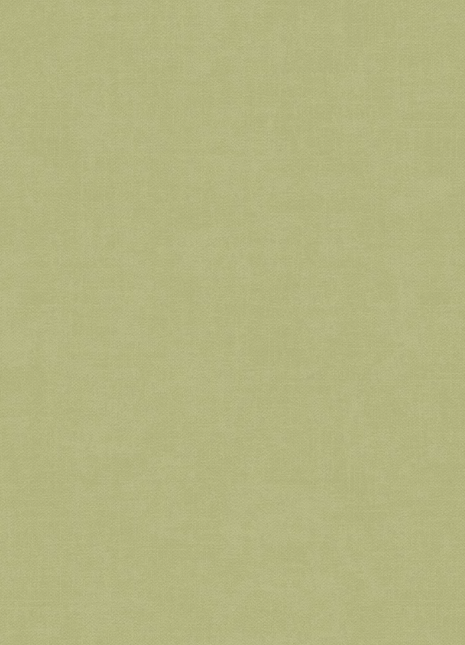 DK.28333-15 | AMBIANCE Linen