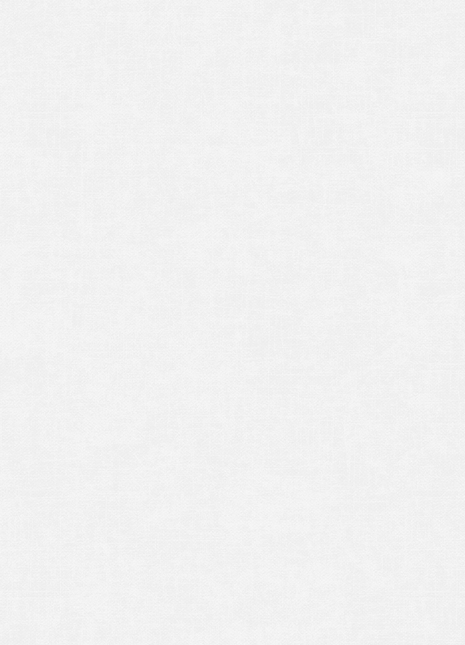 DK.28333-2 | AMBIANCE Linen tapeta strukturalna