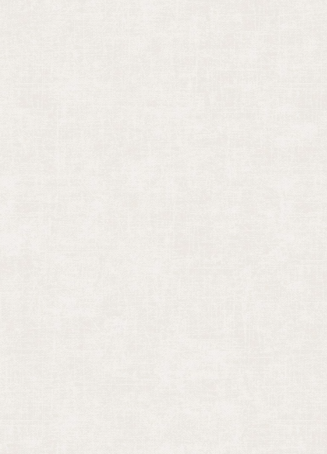 DK.28333-4 | AMBIANCE Linen