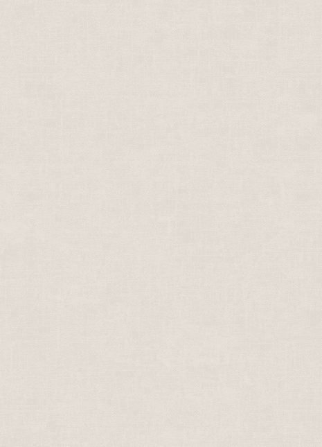 DK.28333-6 | AMBIANCE Linen