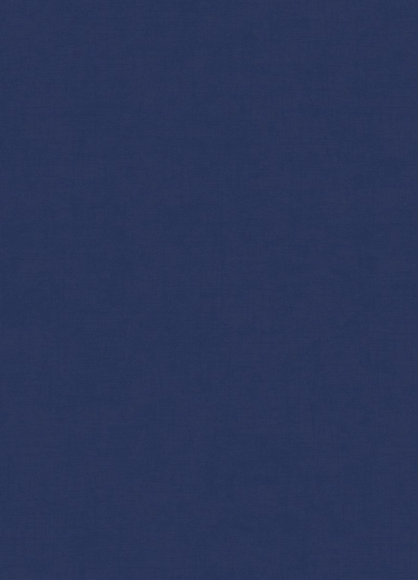 DK.28333-8 | AMBIANCE Linen