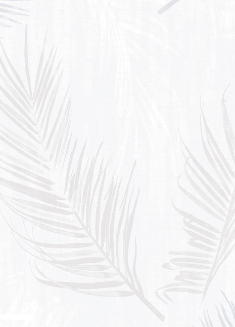 Tropical | DK.32250-1