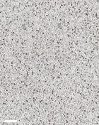 Mix | DK.32550-1
