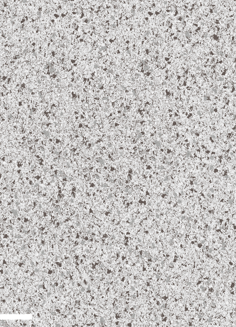 Mix | DK.32550-1