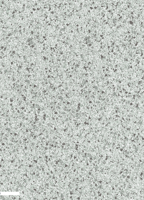 Mix | DK.32550-5