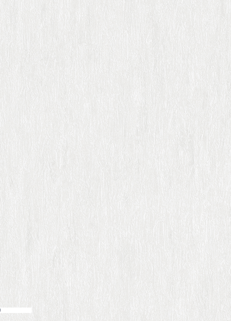 Pera | DK.32880-1