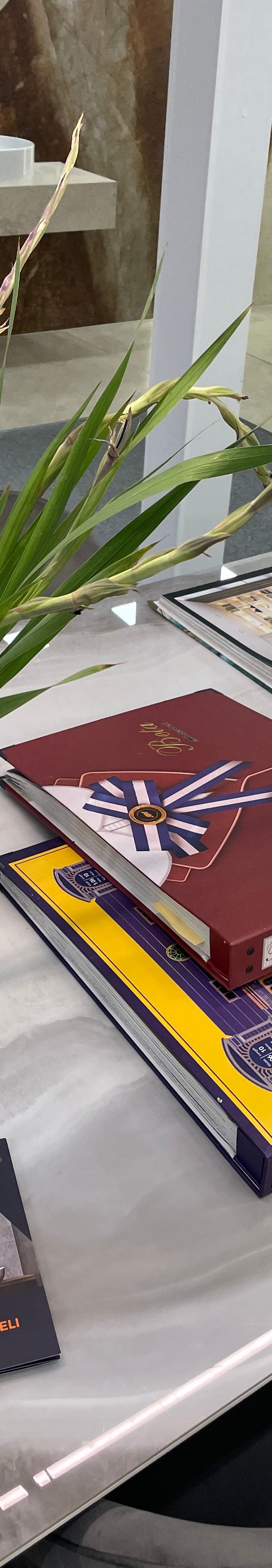 <h2>Importer i wyłączny przedstawiciel marek okładzin ściennych premium.</h2>