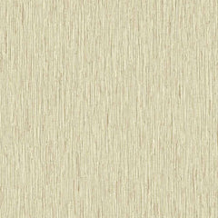 Collection image for: BETA