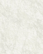 9906-1 / 15.6 MTR